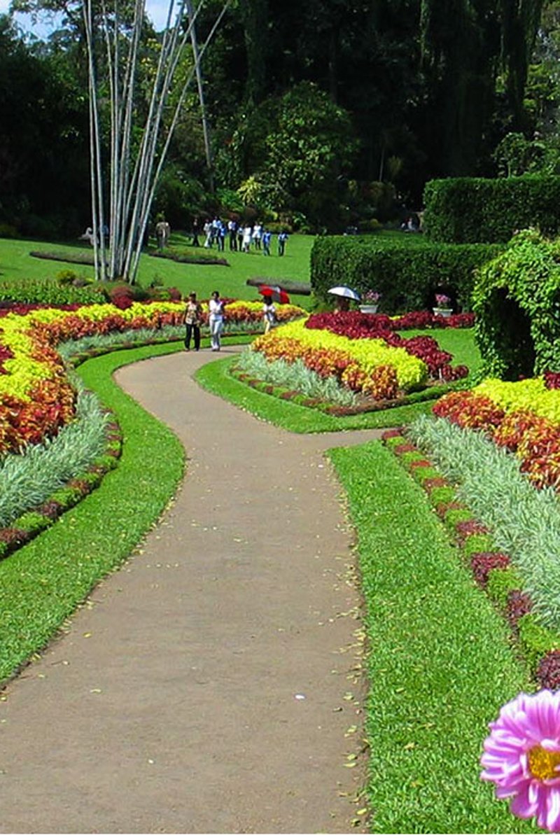 Peradeniya Botanical Gardens